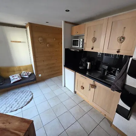 Chez L'alpiniste - Centre Avec Parking Prive 霞慕尼