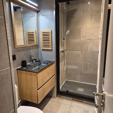 Chez L'alpiniste - Centre Avec Parking Prive * 霞慕尼