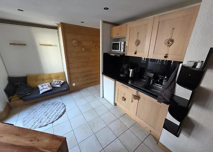 Chez L'alpiniste - Centre Avec Parking Prive 霞慕尼