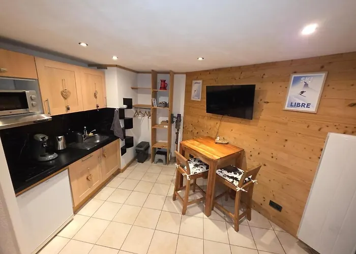 Chez L'alpiniste - Centre Avec Parking Prive 公寓 霞慕尼