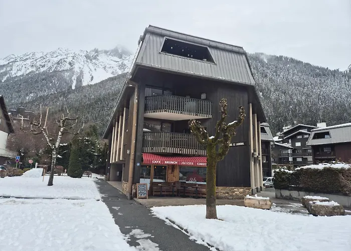 Chez L'alpiniste - Centre Avec Parking Prive Шамони